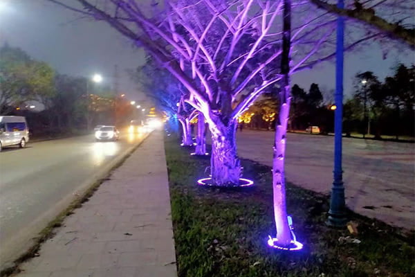 Tree-friendly ring light installation